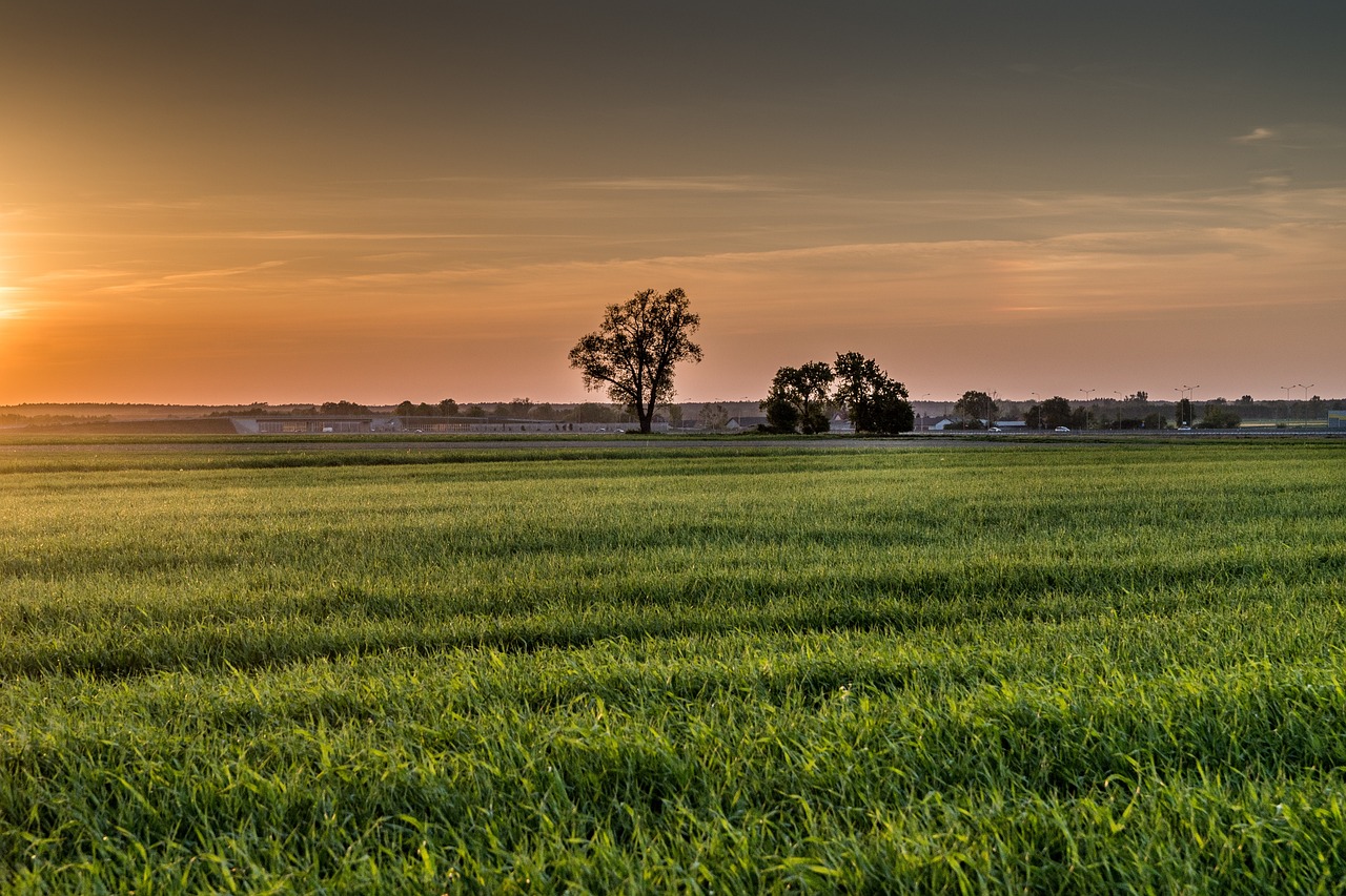 The Mystery of the Lost Civilizations of the Great Plains